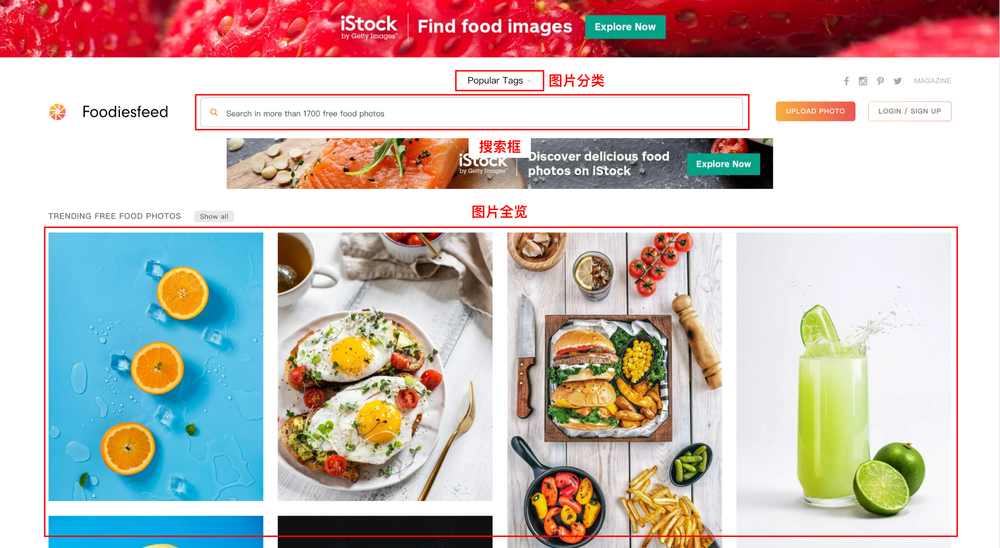 Foodiefeed