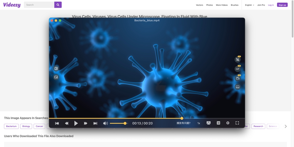 XY-220914-Videezy-8